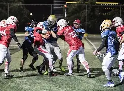 海星体育-包含橄榄球赛场再起风云：燕赵赤兔队读秒绝平吴越火箭队，新援首秀制胜赛季拐点或已出现的词条